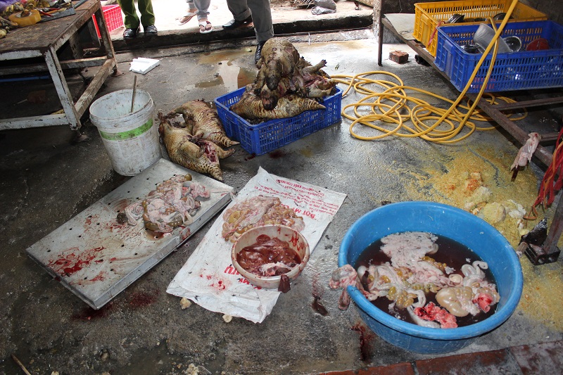 Phát[-]hiện[-]“lò[-]mổ”[-]động[-]vật[-]hoang[-]dã[-]giữa[-]lòng[-]Hà[-]Nội